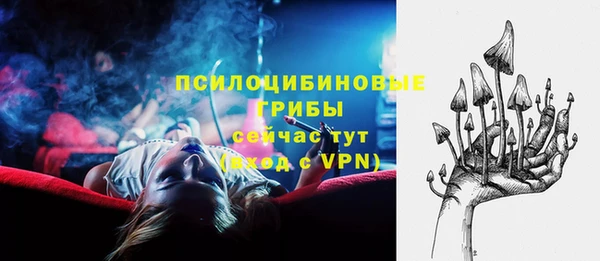 сатива Алексеевка