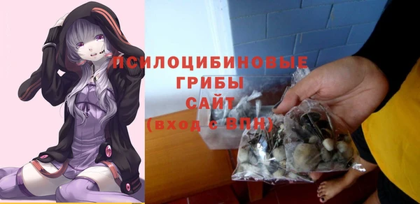 сатива Алексеевка