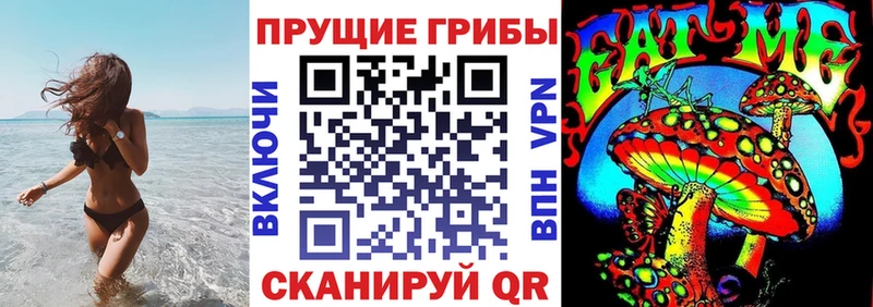 Псилоцибиновые грибы Cubensis  Бежецк 