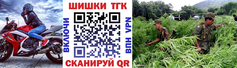 где купить наркоту Бежецк МАРИХУАНА OG Kush